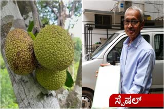 RUDRAKSHI JACKFRUIT