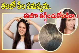 Home Remedies For Removal Head Lice