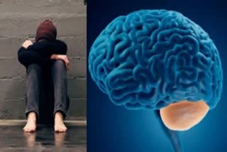 DEPRESSION DIFFERENT TYPES  വിഷാദം  6 DISTINCT BIOLOGICAL TYPES  ലിയാൻ വില്യംസ്