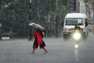 meteorological department has predicted rains in districts of Haryana