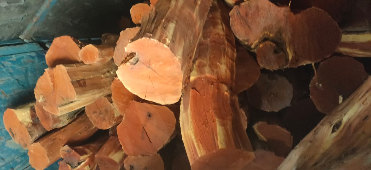 Kaimur Police Seized Wood