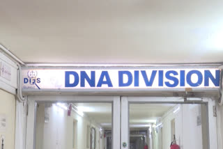 Never Apart: How Swift DNA Matching Reunited the Patels After the Ahmedabad Plane Crash