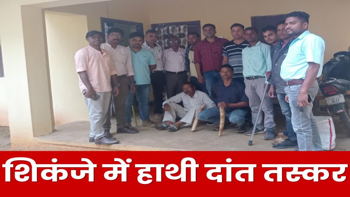 Ivory smuggler arrested in Gumla