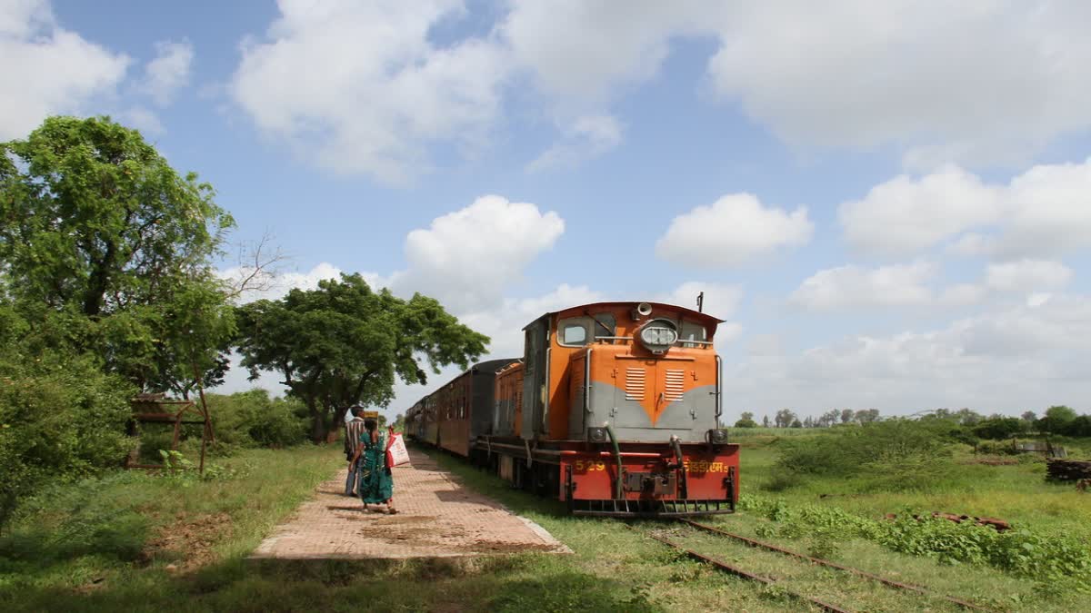 કોસંબાથી ઉમરપાડા રેલવે નેરોગેજ માંથી મીટર પરિવર્તિત કરવા માટે કેન્દ્ર સરકારે કરોડો રૂપિયા ફાળવ્યા