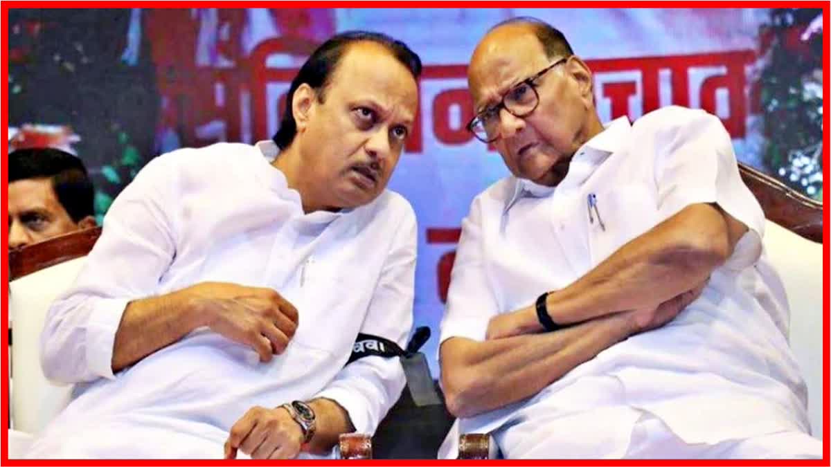 AJit Pawar Group MLAS Meet Sharad Pawar