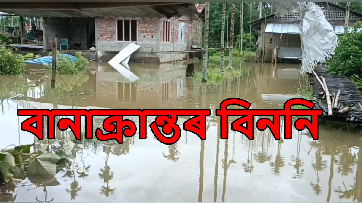 Dhemaji flood news