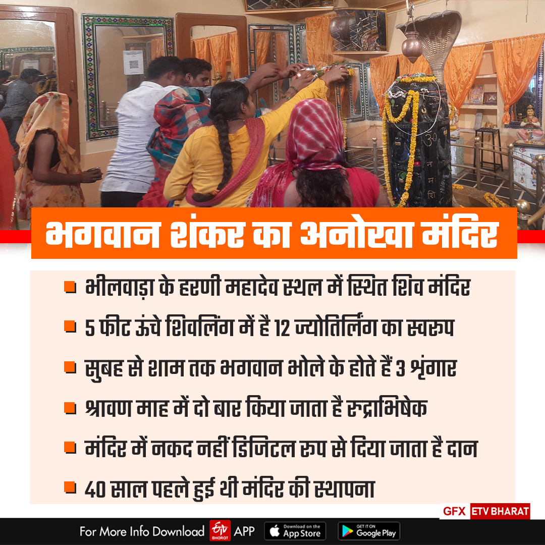 12 Jyotirlingas in Shivling