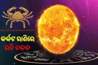 sun transit special horoscope