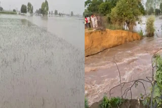 Mansa Flood News: Difficulties increased due to the breaking of the Chandpura dam, broken connection with other villages