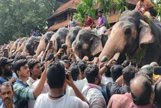 aanayoottu at Vadakkumnathan temple thrissur  aanayoottu Vadakkumnathan temple  Vadakkumnathan  Vadakkumnathan temple  aanayoottu  thrissur aanayoottu  thrissur Vadakkumnathan temple  വടക്കുംനാഥ ക്ഷേത്രം  തൃശൂർ വടക്കുംനാഥ ക്ഷേത്രം  ആനയൂട്ടും അഷ്‌ടദ്രവ്യ മഹാഗണപതി ഹോമവും  ആനയൂട്ട്  അഷ്‌ടദ്രവ്യ മഹാഗണപതി ഹോമം  വടക്കുംനാഥ ക്ഷേത്രം ആനയൂട്ട്