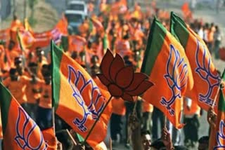 BJP claims that representatives of 31 parties