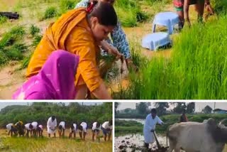 Manendragarh MLA doing farming