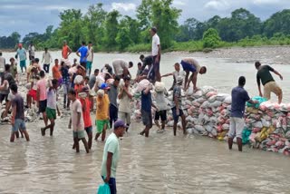 public making River dam by themselves