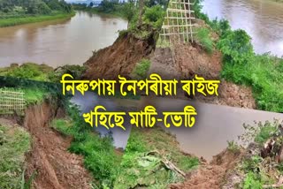 jorhat mariani erosion news