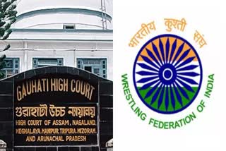 gauhati high court wrestling federation of india