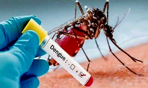 dengue cases in dehradun new