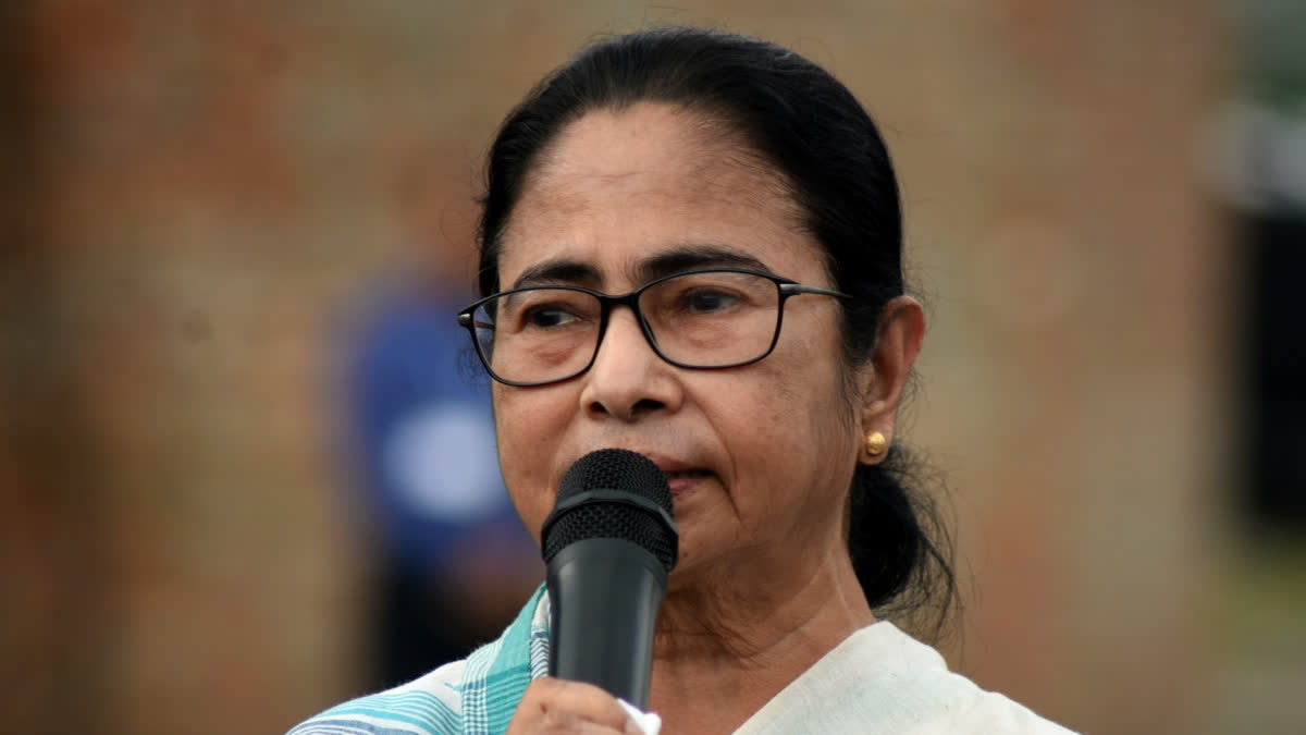 Cal HC Restrains Mamata From Making Defamatory Statement Against Governor