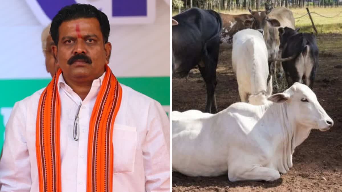 Vijay Sharma on Cow Smuggling