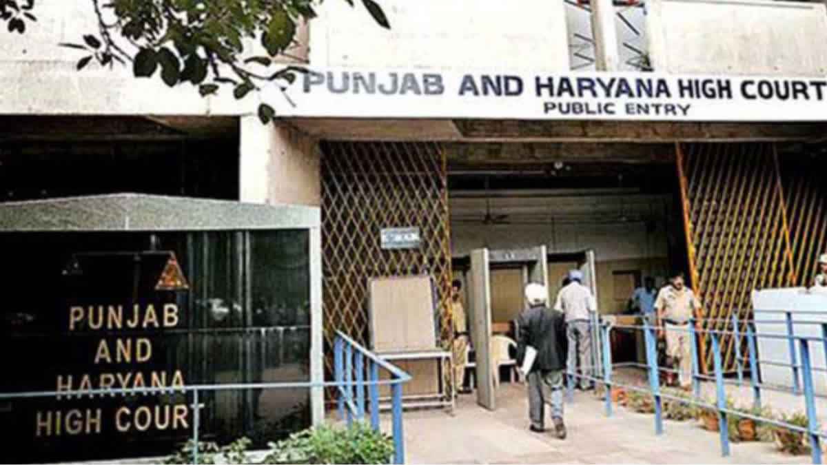 high court, Punjab NARCO Terror Case