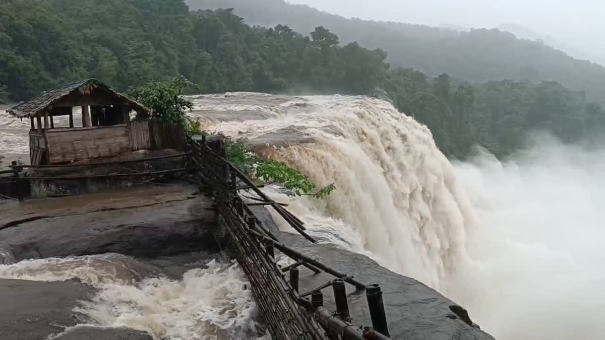 RAIN ALERT IN KERALA  ATHIRAPPILLI IS OVERFLOWING  സംസ്ഥാനത്ത് മഴ തുടരുന്നു  അഞ്ച് ജില്ലകളിൽ ഓറഞ്ച് അലർട്ട്