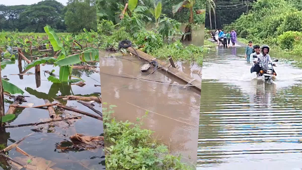 കോഴിക്കോട് കനത്ത മഴ  കോഴിക്കോട് വെള്ളപ്പൊക്കം തുടരുന്നു  FLOOD IN KOZHIKODE  HEAVY RAIN IN KOZHIKODE