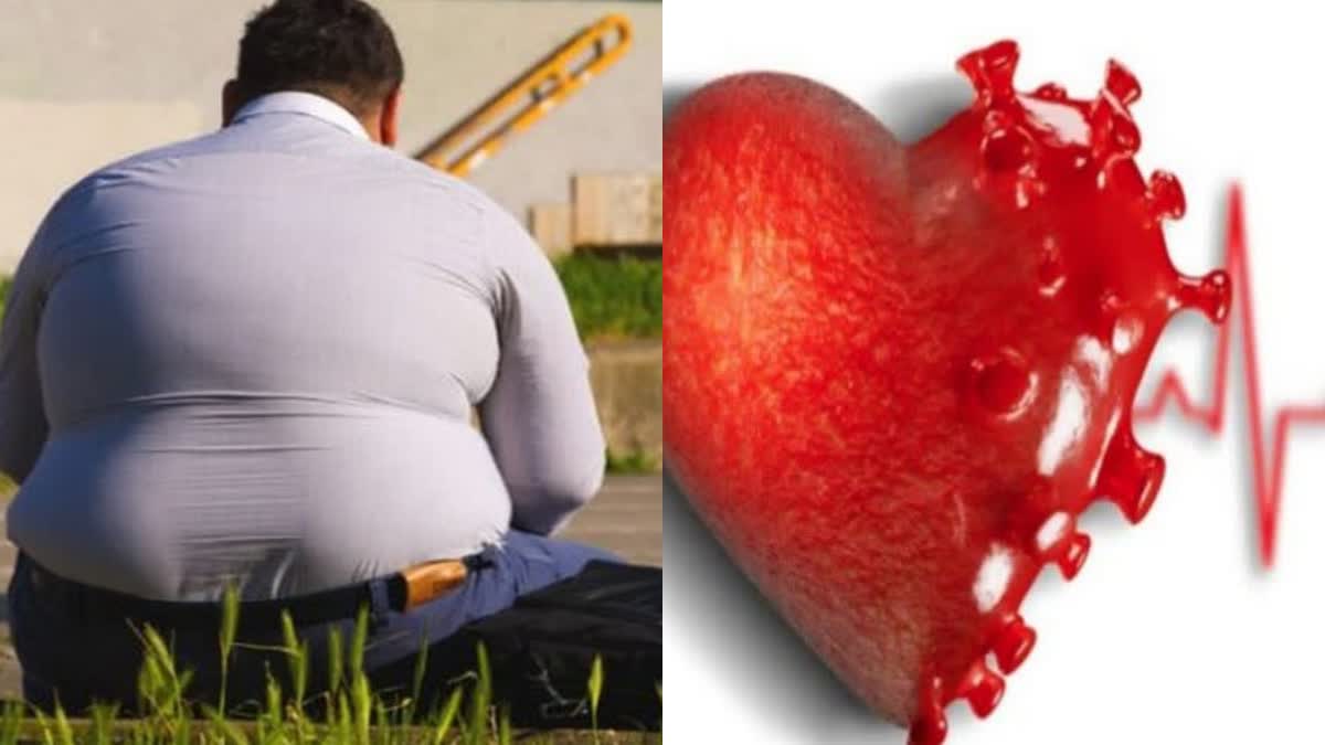 യുവാക്കളിലെ അമിത വണ്ണം  ഹൃദ്രോഗം  Obesity Causes Heart Diseases  Cause Of Heart Attacks