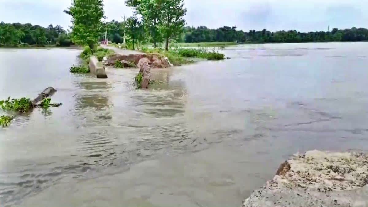 Another Bridge Collapses In Bihar's Araria, Over 15 Cases Reported This Monsoon