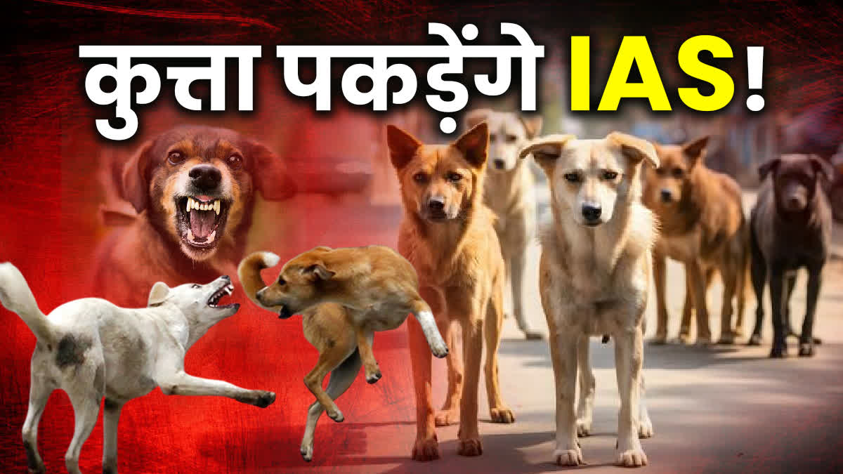 MP GOVT CONTROL DOG POPULATION