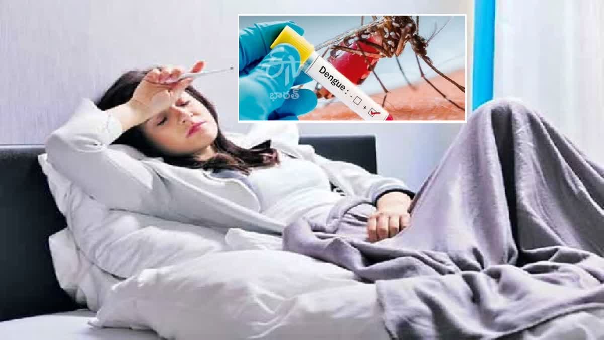 Seasonal Diseases Rise in Telangana