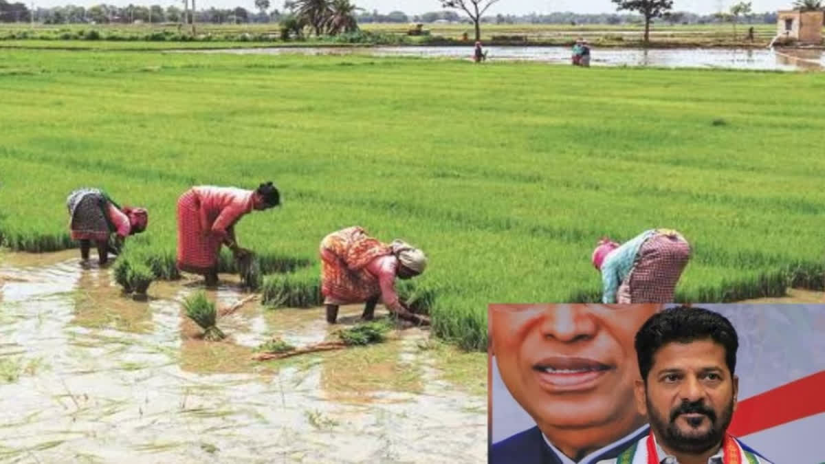 Crop Loan Waiver In Telangana: Govt To Waive Loans Of Up To Rs 1 lakh On  Thursday