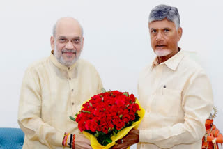 Chandrababu Naidu met Union Home Minister Amit Shah in Delhi to discuss the state's financial situation and the findings from four White Papers detailing significant debt accumulation during FY 2019-2024. He also accused the previous Jagan Mohan Reddy government of extensive corruption in the state.