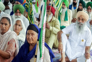 Farmer activist Navdeep Singh was released from Ambala Central Jail after being granted bail by the Punjab and Haryana High Court in connection with charges stemming from February 13 'Delhi Chalo' march.