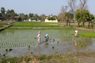 Rainfall Deficiency