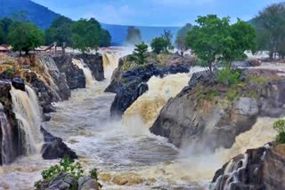 Overflowing Cauvery River  Hogenakkal Falls  Chamarajanagar  heavy rain