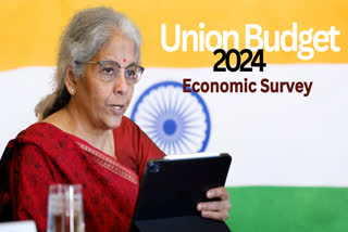 Economic Survey 2024