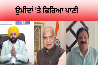 the governor will remain the chancellor of the universities of punjab dr.  verka comment on bhagwant mann