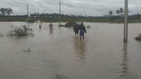 RAIN IN KARNATAKA