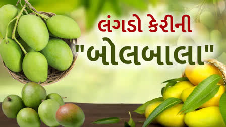 ભાવનગરમાં કેરીના શોખીનો માટે ઉત્તરપ્રદેશની આ કેરીની માંગ