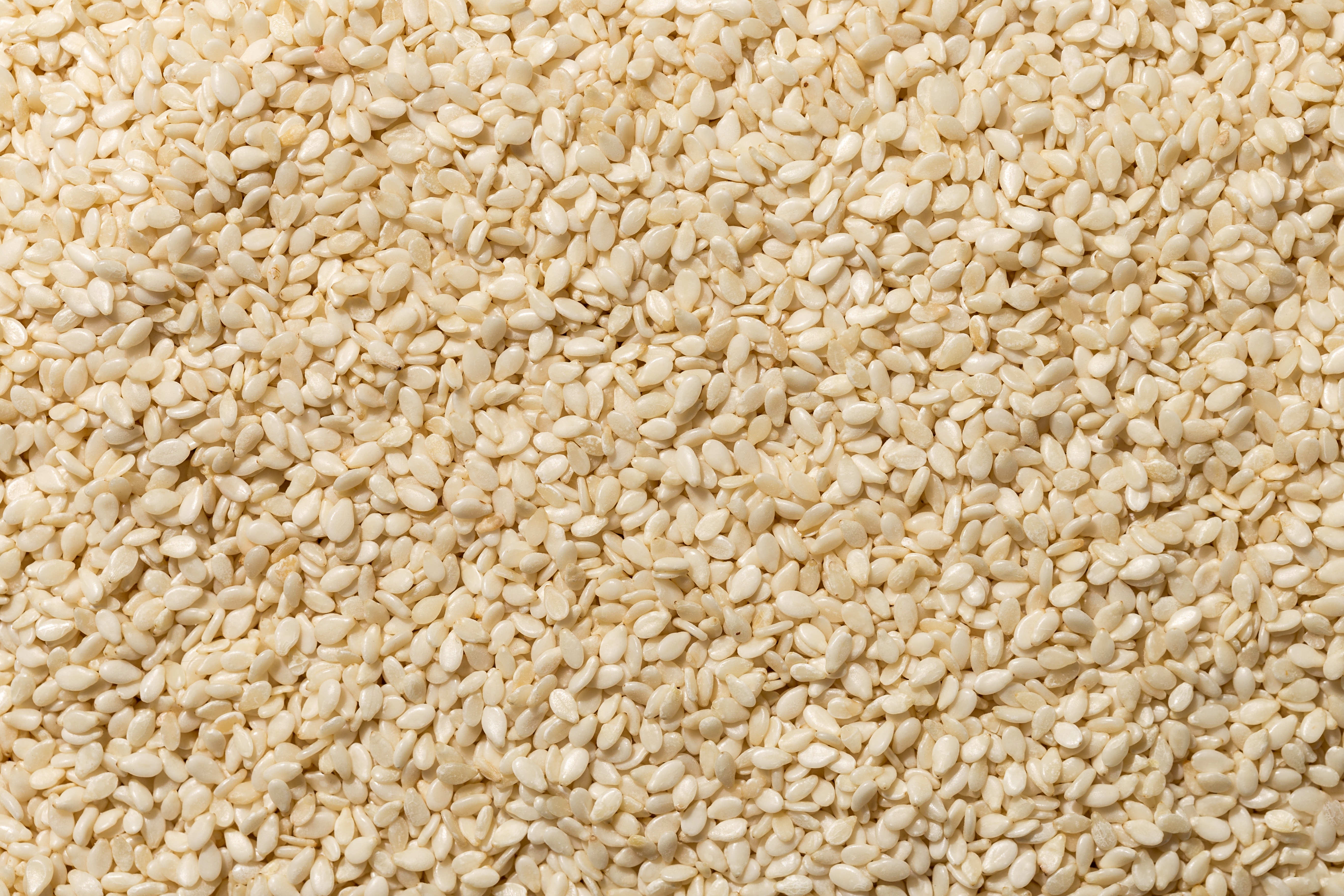 Tasty Karam Podi with Raw Coconut