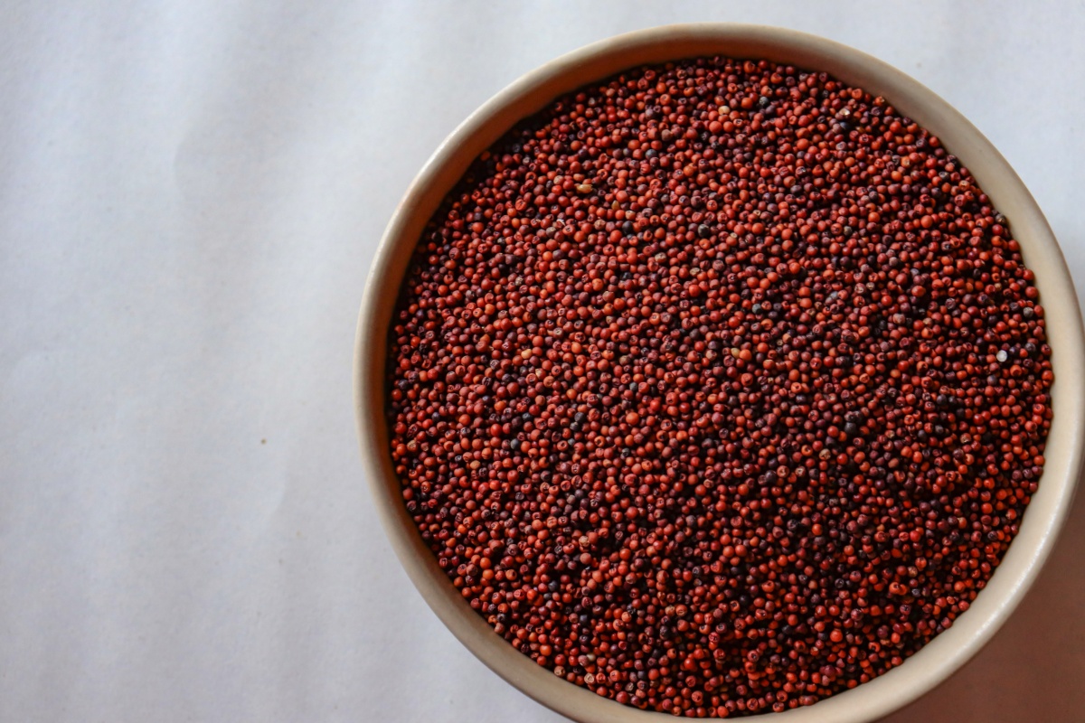 Ragi