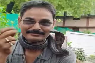 GUNA SNAKE CATCHER DIES