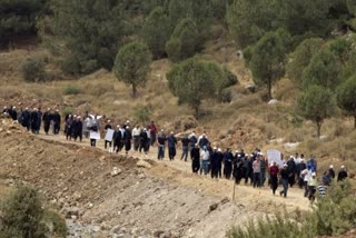 Druze