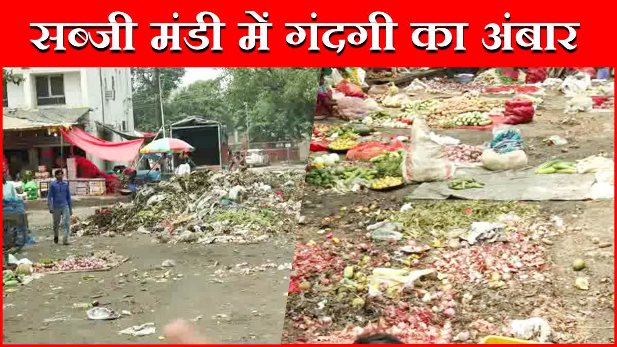 Chandigarh Vegetable Market