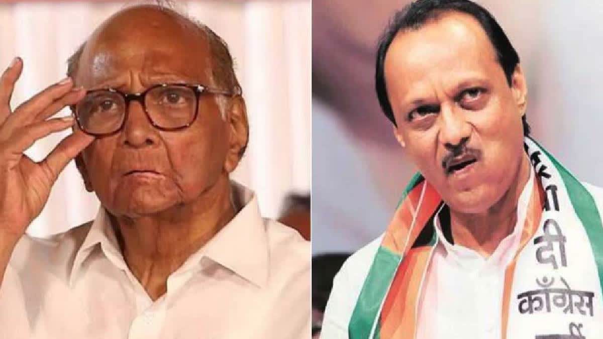 ECI gives 3 weeks to Sharad Pawar, Ajit to reply on NCP name, symbol