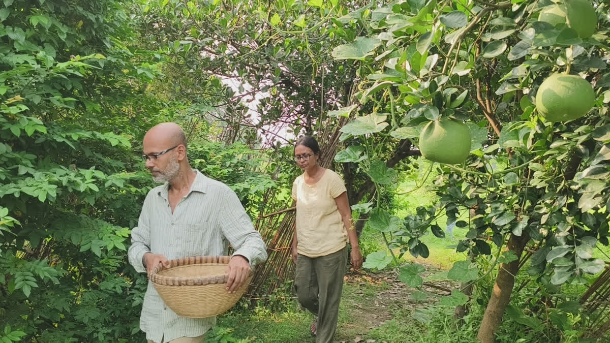Bengal couple who chased American Dream return to roots, put best foot forward for sustainable living in Bolpur village