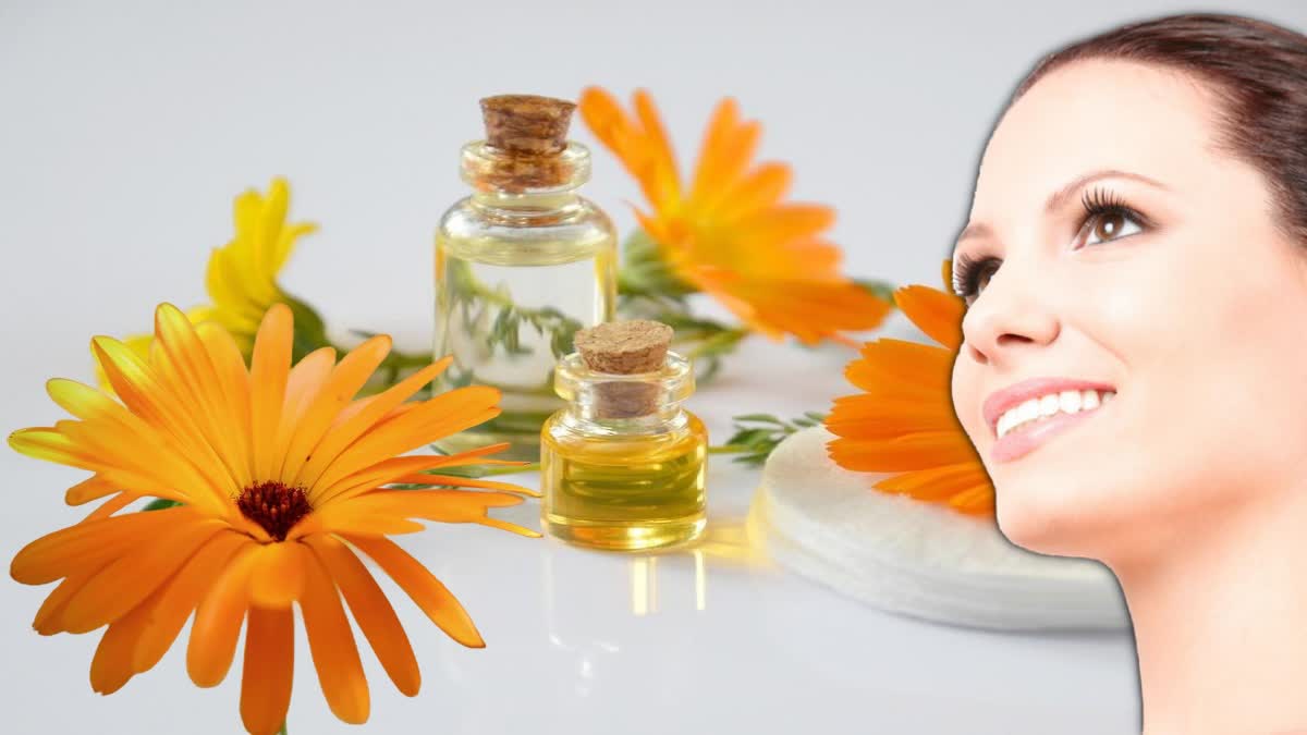 Calendula for Skin Care News