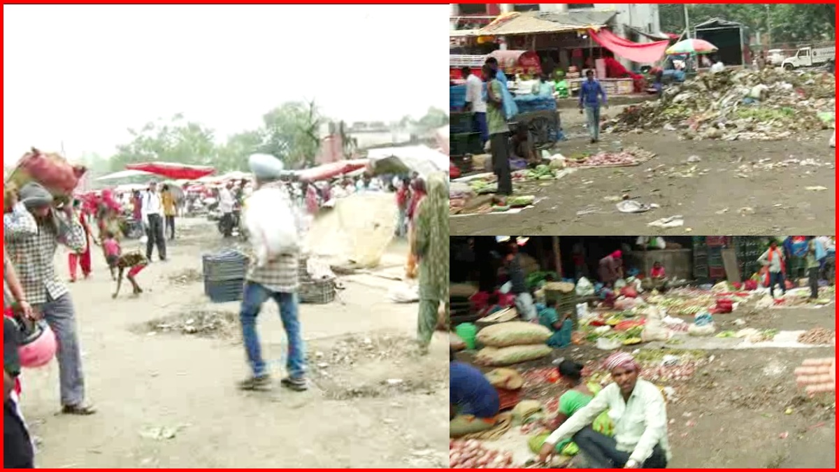 Chandigarh Vegetable Market