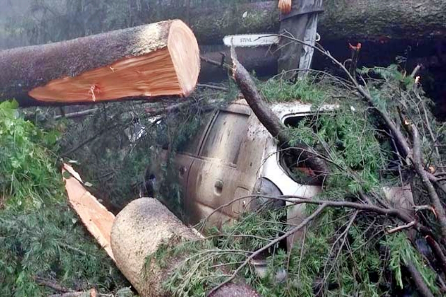 devastation in Shimla