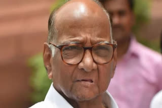 Election Commission asked Sharad Pawar, who is the real boss of the NCP, sought an answer in 3 weeks