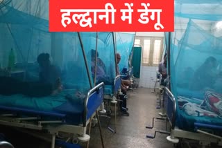 Dengue in Haldwani